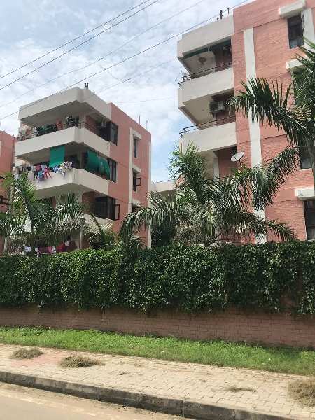 2 BHK Flats & Apartments for Rent in Sector 5, Panchkula (1100 Sq.ft.)