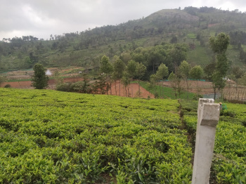 22 cents land for sale in kotagiri