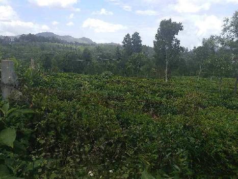 27 cents Plot for sale in coonoor