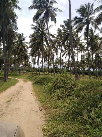 170 acre farm land for sale in anaimalai coimbatore