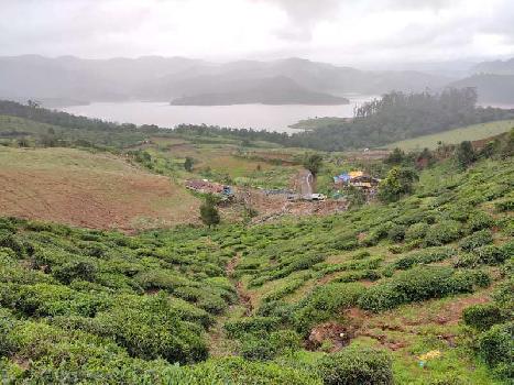 Agricultural/Farm Land for Sale in Coonoor, Ooty (3 Acre)