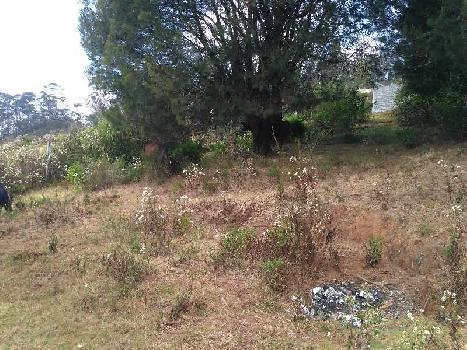 25 cents land for sale in ooty lovedale