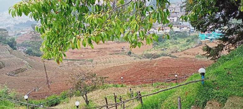 4 Acre Agricultural/Farm Land for Sale in Coonoor, Ooty