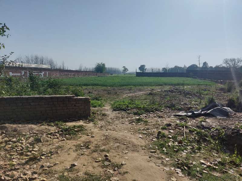 27600 Sq.ft. Agricultural/Farm Land for Rent in Sidcul, Haridwar