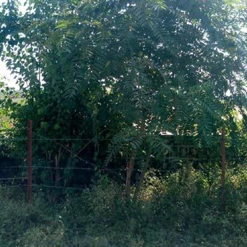Property for sale in Inderlok Colony, Haridwar