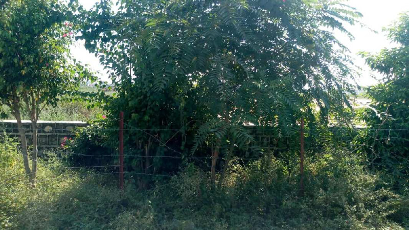1743 Sq.ft. Residential Plot for Sale in Inderlok colony, Haridwar