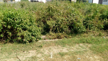 Commercial Lands /Inst. Land for Sale in Salempur Mehdood, Haridwar (5000 Sq.ft.)