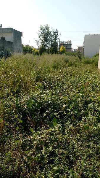 Residential Plot For Sale In Inderlok Colony Haridwar