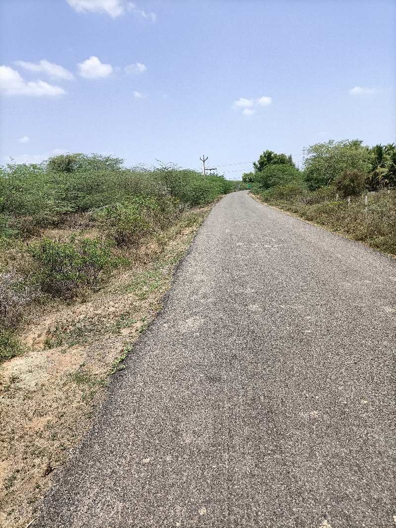 22 Acre Agriculture Land For Sale in Pudukkudi, Thanjavur