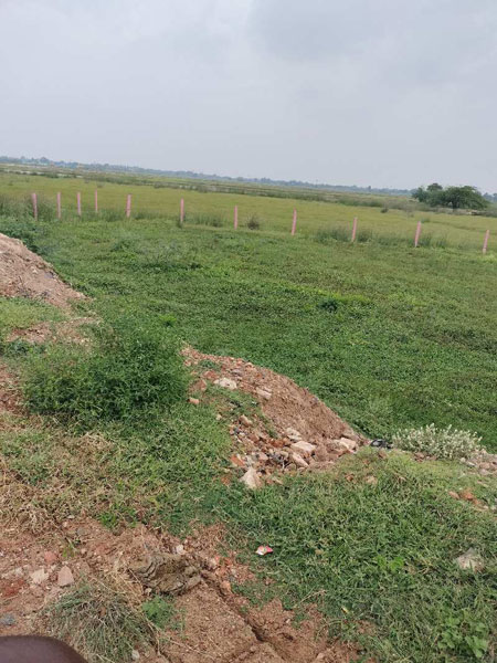 Commercial Plot For Sale in Pillayarpatti to Palliagraharam, Thanjavur