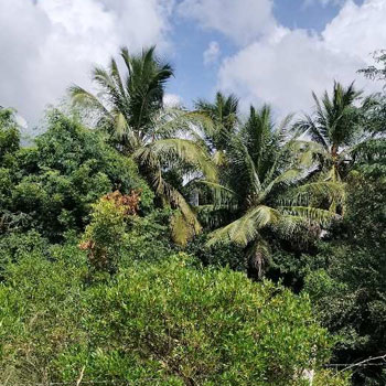 Property for sale in Nanjikottai, Thanjavur