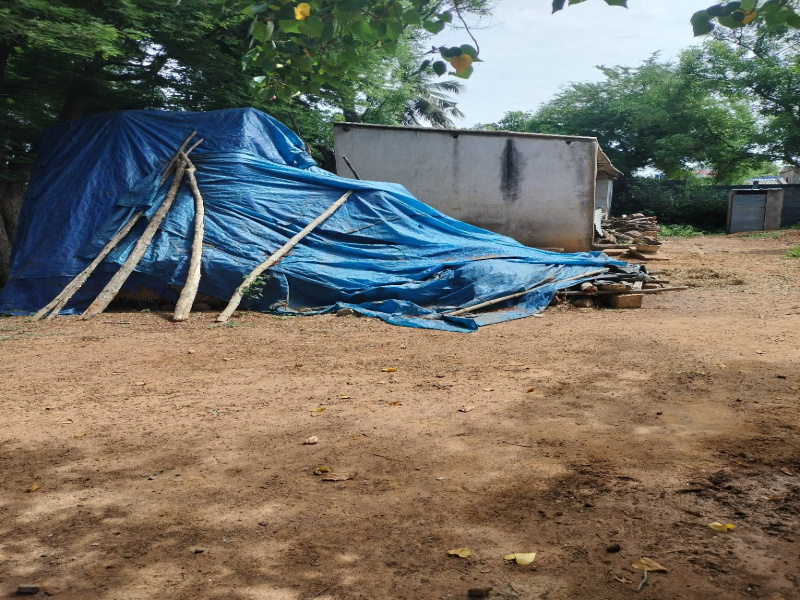 Residential Plot For Sale in Arputhapuram, Thirukanurpatti, Thanjavur