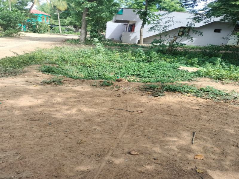 Residential Plot For Sale in Arputhapuram, Thirukanurpatti, Thanjavur