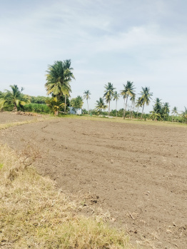 Agriculture Land for Sale in Thozhagiripatti, Kurungulam, Thanjavur