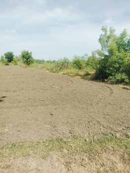 Property for sale in Kurungulam, Thanjavur