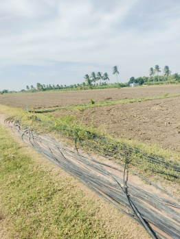 Property for sale in Kurungulam, Thanjavur