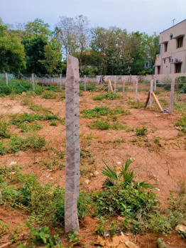 Residential Plot for Sale in Plot for Sale Pappa Nagar, Nanjikkottai Road, Thanjavur