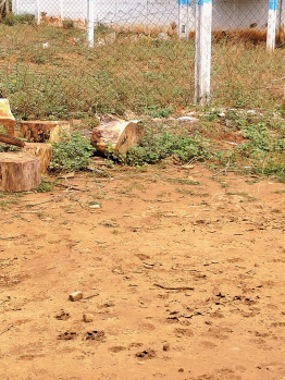 Residential Plot for Sale in Ashok Nagar, New Bustand, Thanjavur