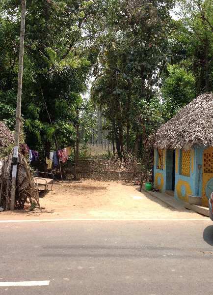 2.5. Acre Coconut Trees Farm Land For Sale in Sathanur, Thiruvaiyar to Thirukattppalli Road, Thanjavur