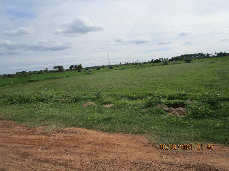 1500 SQ.Ft. DTCP Approved Plot For Sale in MP Nagar, Reddypalayam Road, Thanjavur
