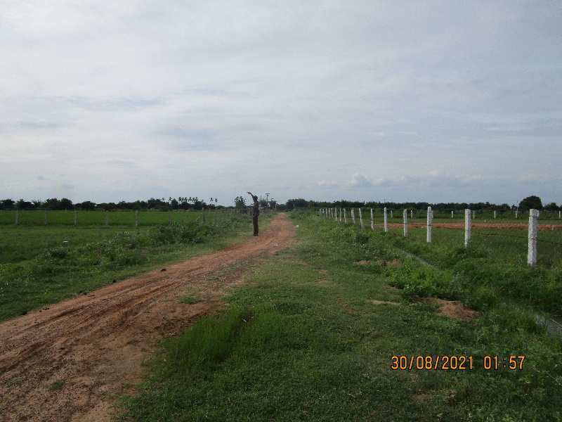 1200 SQ. Ft. DTCP Approved Plot For Sale in MP Nagar, Reddypalayam Road, Thanjavur