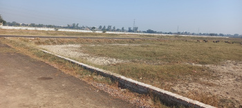 Property for sale in Noida Extension, Greater Noida