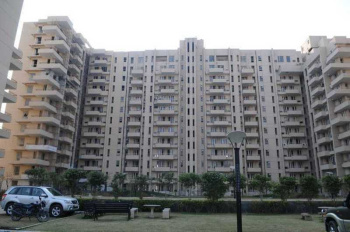 3 BHK Flats & Apartments for Sale in Sector 43, Gurgaon