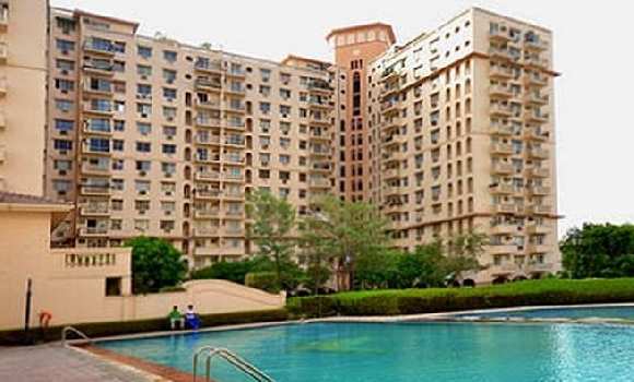 3 BHK Flats & Apartments for Sale in DLF Phase II, Gurgaon