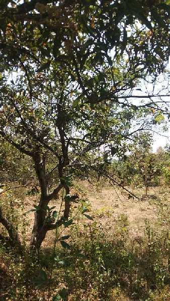4.10 Acre Agricultural/Farm Land for Sale in Vadakarai, Theni