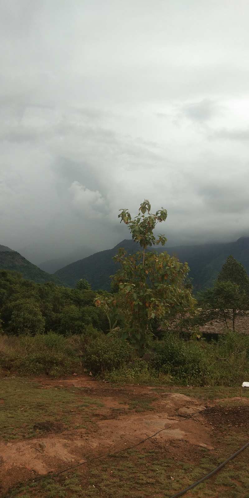 4.5 Acre Agricultural/Farm Land for Sale in Periyakulam, Theni