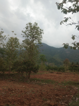 300 Ares Agricultural/Farm Land for Sale in Chinnamanur, Theni