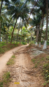 Agricultural/Farm Land for Rent in Periyakulam, Theni (10000 Sq.ft.)