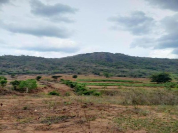 Agricultural/Farm Land for Sale in Periyakulam, Theni (40 Acre)