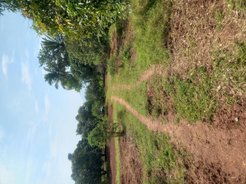 Agricultural/Farm Land for Sale in Periyakulam, Theni (42 Acre)