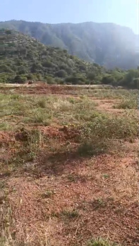 Agricultural/Farm Land for Sale in Periyakulam, Theni (7 Acre)