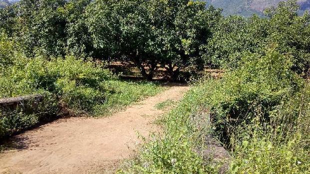 Agricultural/Farm Land for Sale in Periyakulam, Theni (600000 Sq.ft.)