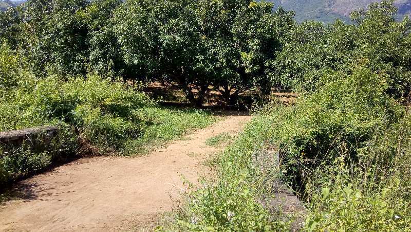 Agricultural/Farm Land for Sale in Periyakulam, Theni (600000 Sq.ft.)