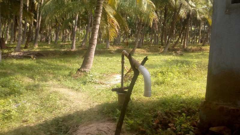 Agricultural/Farm Land for Sale in Periyakulam, Theni (2 Acre)
