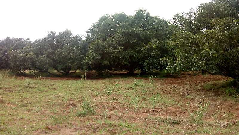 Agricultural/Farm Land for Sale in Periyakulam, Theni (45 Acre)