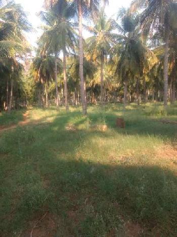40 Acre Agricultural/Farm Land for Sale in Kadamalaikundru, Theni