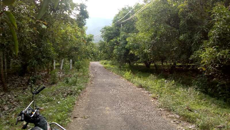 8 Acre Agricultural/Farm Land for Sale in Periyakulam, Theni