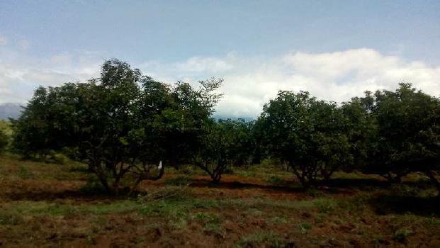 290700 Sq.ft. Agricultural/Farm Land for Sale in Periyakulam, Theni