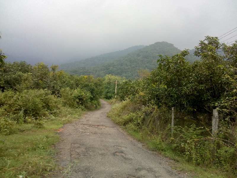 12 Acre Agricultural/Farm Land for Sale in Periyakulam, Theni
