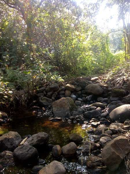 1.60 Acre Agricultural/Farm Land for Sale in Periyakulam, Theni