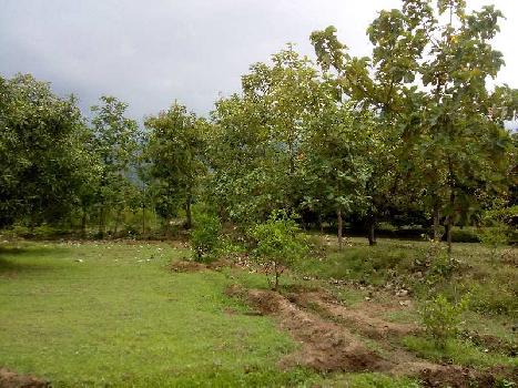 23.5 Acre Agricultural/Farm Land for Sale in Periyakulam, Theni