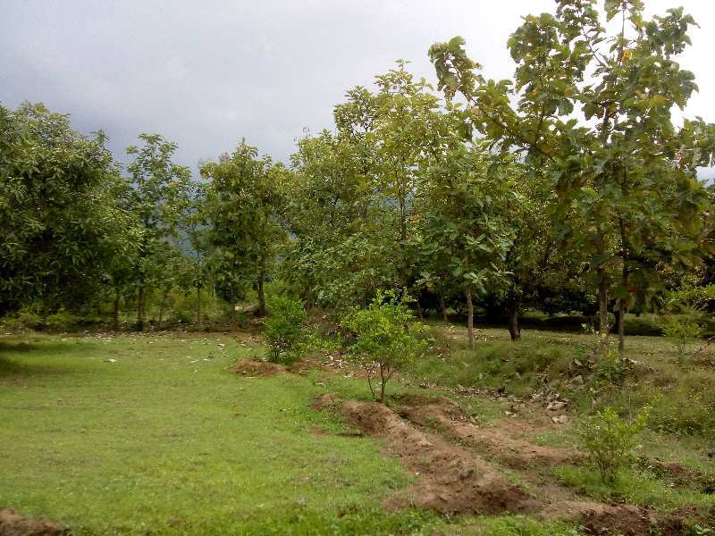 23.5 Acre Agricultural/Farm Land for Sale in Periyakulam, Theni