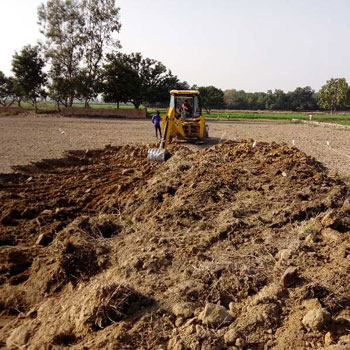 65 Bigha Agricultural/Farm Land for Sale in Aurangabad Bulandshahr, Bulandshahr