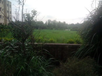 Commercial Plot for Sale in Transport Nagar Bulandshahr