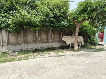 Residential Plot for Sale in Ganga Nagar Bulandshahr