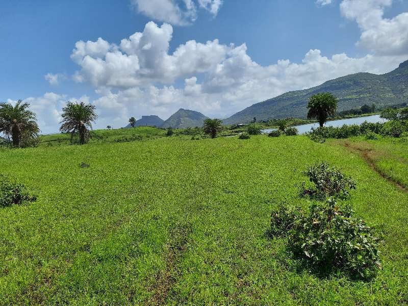 6 Acre Agricultural/Farm Land for Sale in Igatpuri, Nashik